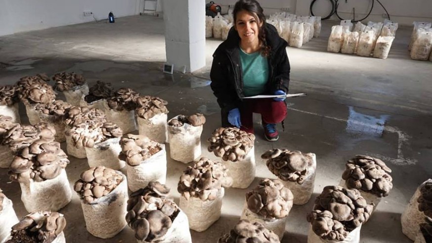 VIVA LA RADIO. Talento emprendedor. FATARI: cultivo y venta en Cabezo de Torres de hongos comestibles, - seta de cardo-