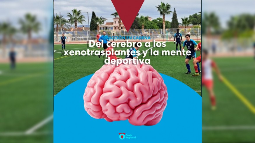 Del cerebro a los xenotrasplantes y la mente deportiva