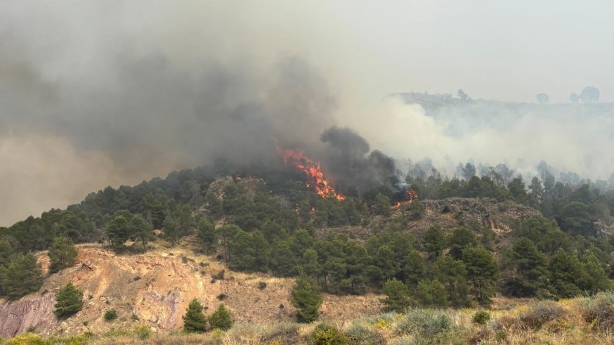 Invertir 3.000 millones contra incendios para evitar 4.000 millones en pérdidas