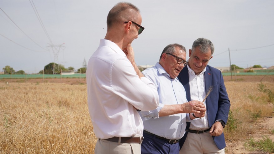 Regar con agua del acuífero del Mar Menor, "una combinación ganadora"