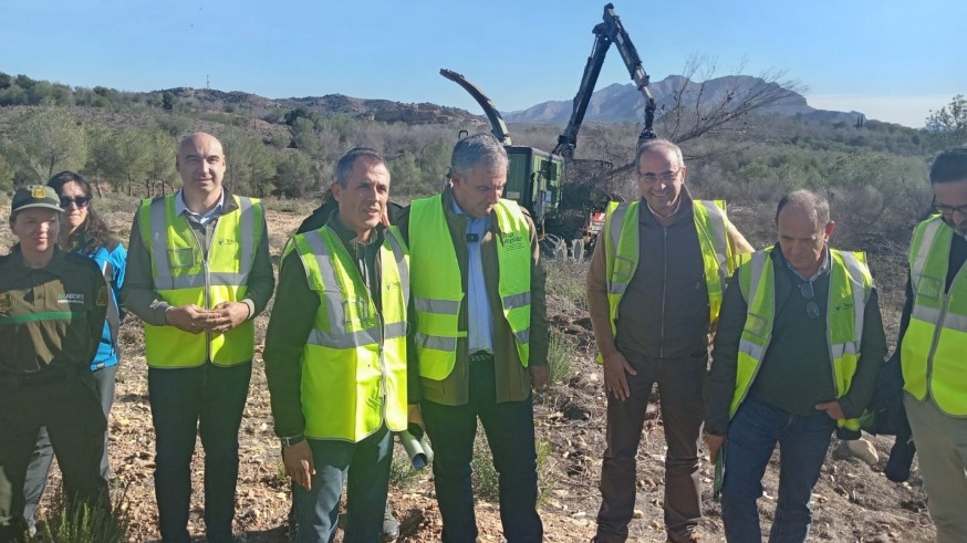 Reforestadas 322 hectáreas de las más de 800 previstas en Coto Cuadros por la sequía