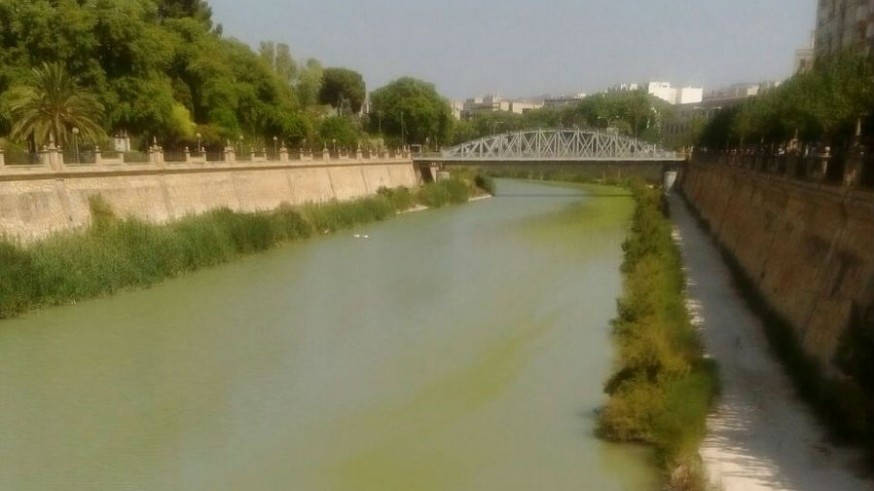 Aspecto verdoso del Segura a su paso por Murcia