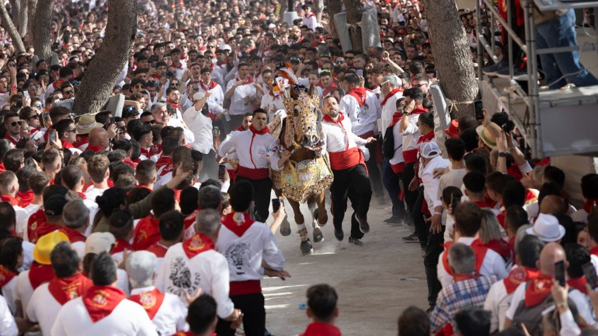 El caballo 'Piropo' de la Peña Retorno gana los Caballos del Vino de Caravaca