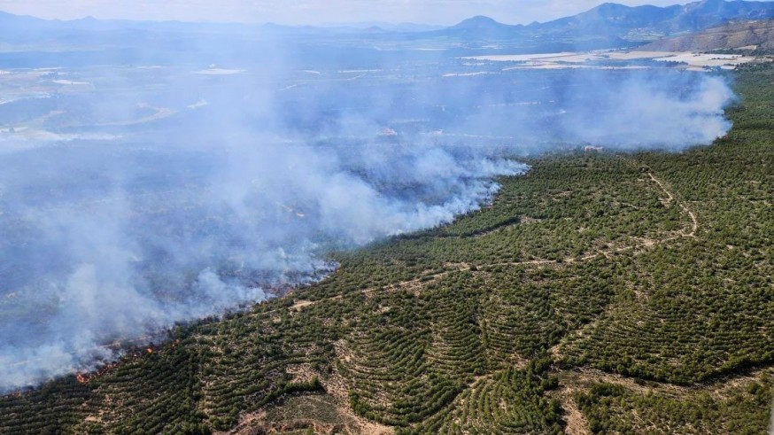 Estabilizado el incendio en las estribaciones de Sierra Espuña tras arrasar 400 hectáreas