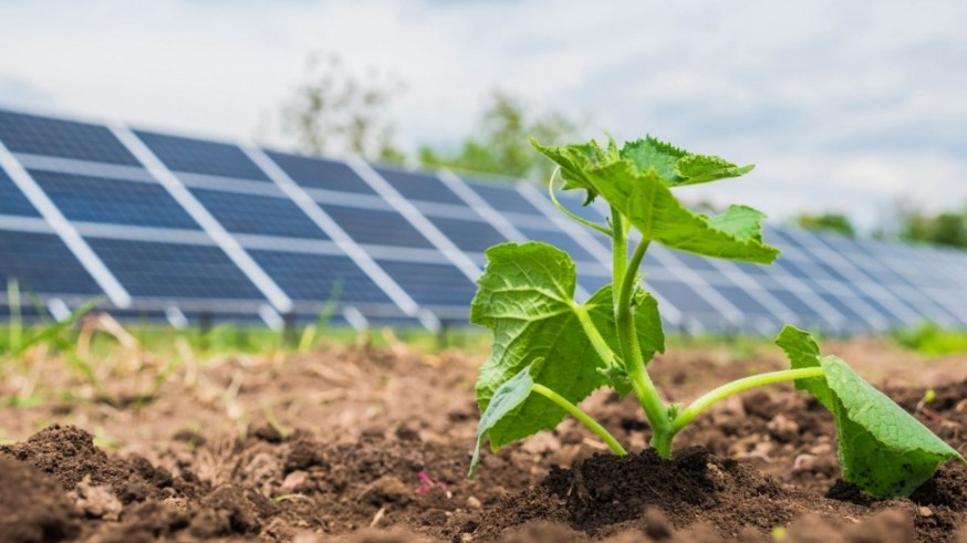 Vox quiere prohibir la instalación de placas solares en las zonas de regadío de Cieza