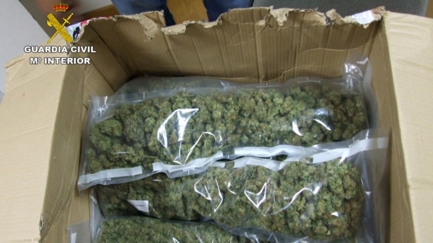 Imagen de la droga incautada 