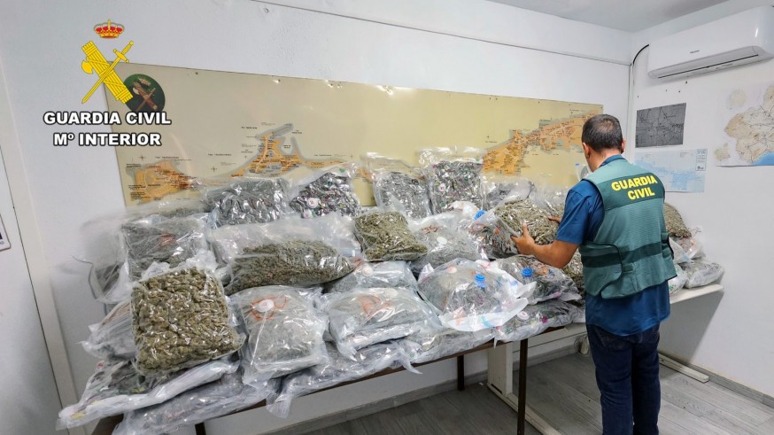 La Guardia Civil desmantela en Los Nietos una ‘guardería’ de marihuana