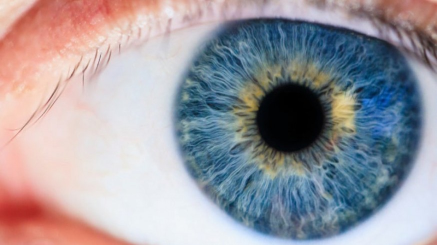Para evitar problemas oculares, es importante usar gafas de sol homologadas
