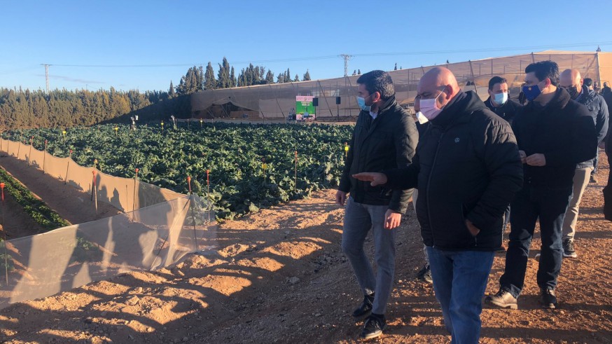 Visita del consejero Luengo a El Mirador en San Javier