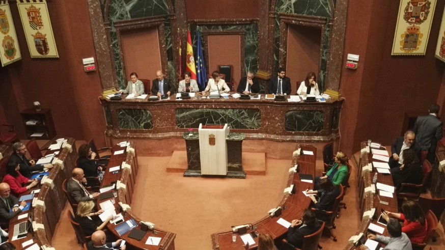 Pleno Asamblea Regional