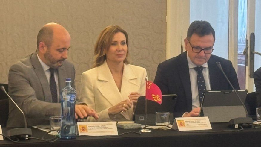 El Gobierno Regional pide reforzar los controles en origen de las plataformas de comercio digital