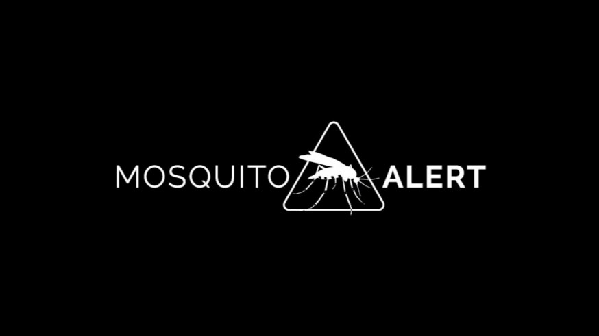 Crean un mapa interactivo que permite consultar la presencia de mosquito tigre en España