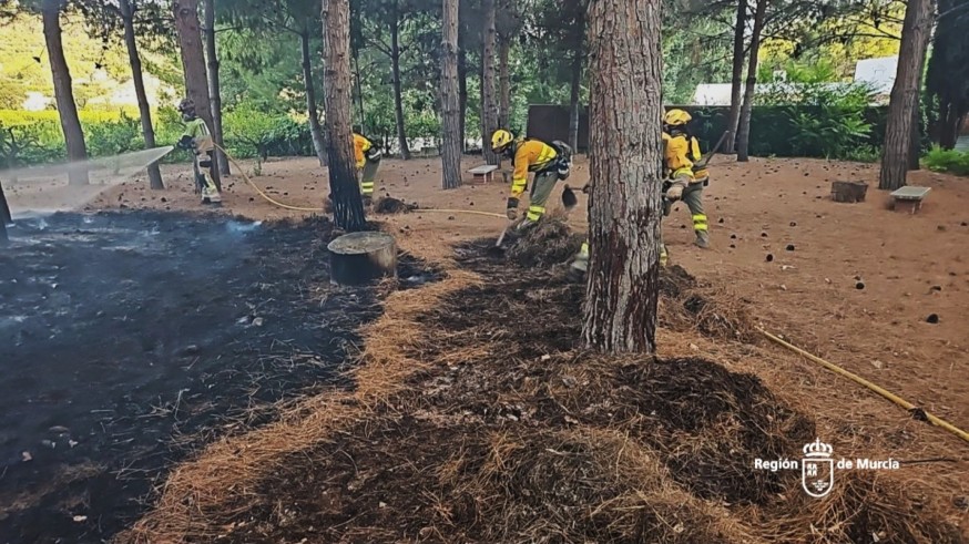 Extinguido un incendio en El Argaz, en Cieza, tras afectar a 400 metros cuadrados este domingo