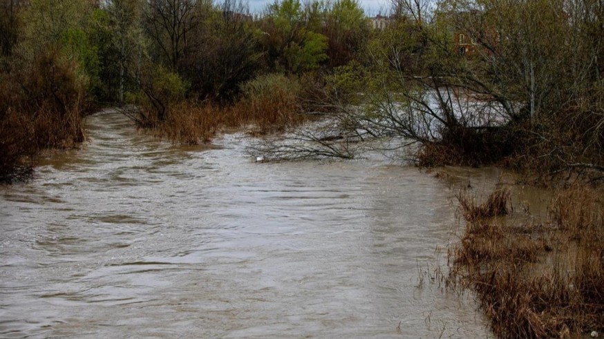 "Los caudales ecológicos son fundamentales para resistir los desafíos del cambio climático"