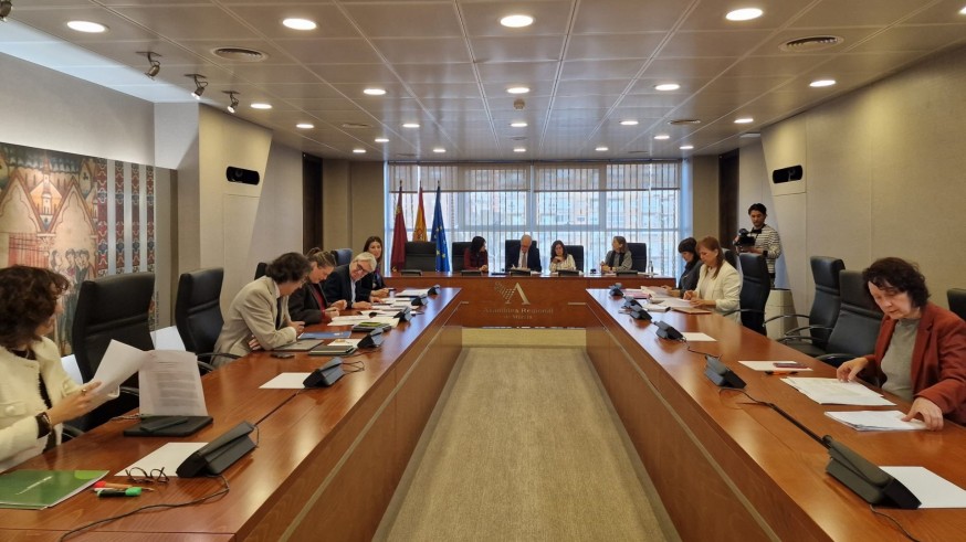 La sanidad murciana contará con un protocolo de intérpretes de signos en los partos tras el impulso unánime de la Asamblea