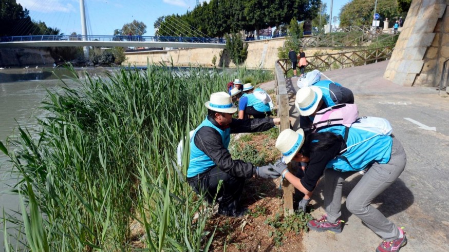 Murcia espera superar los 1.200 voluntarios en el 'Reto Río Limpio'