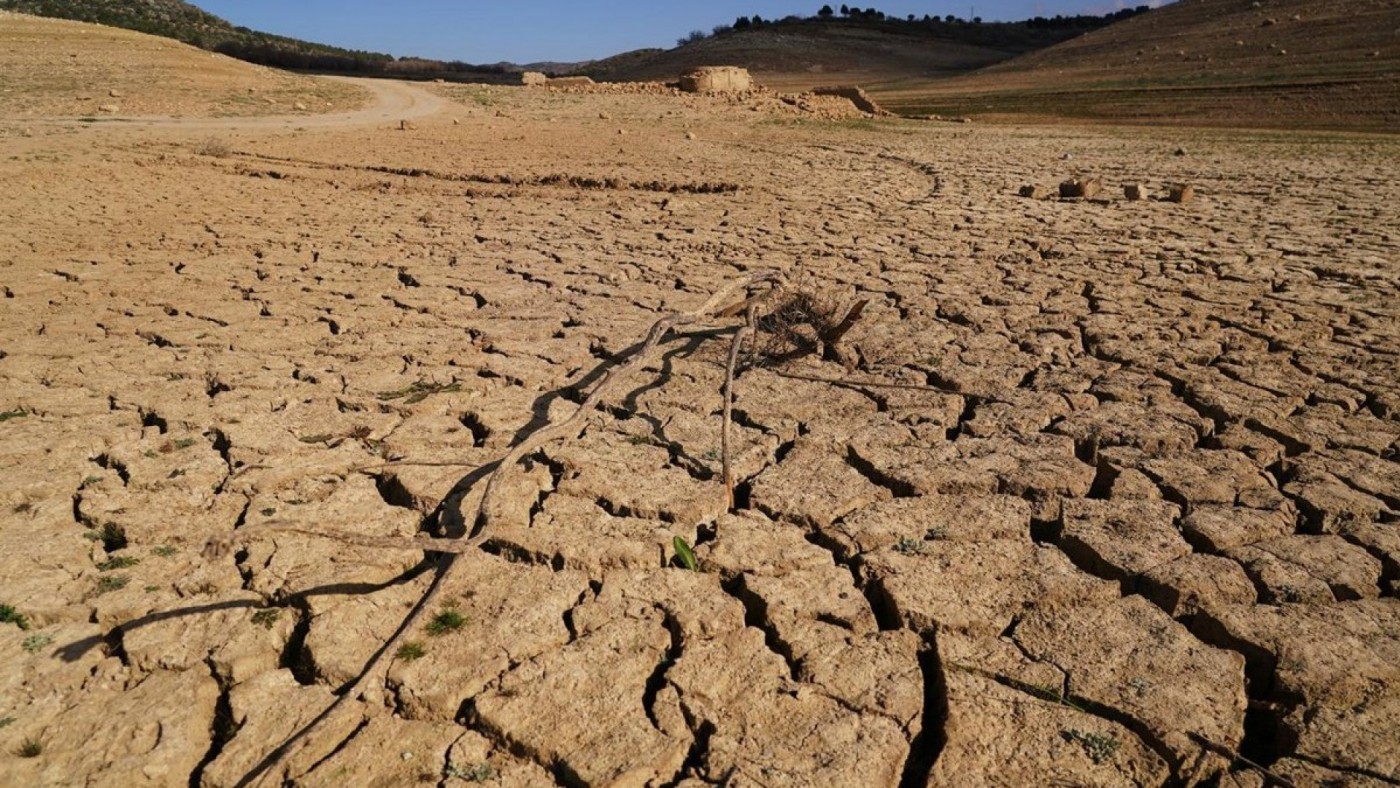 El 91% de la Región de Murcia está en proceso de desertificación