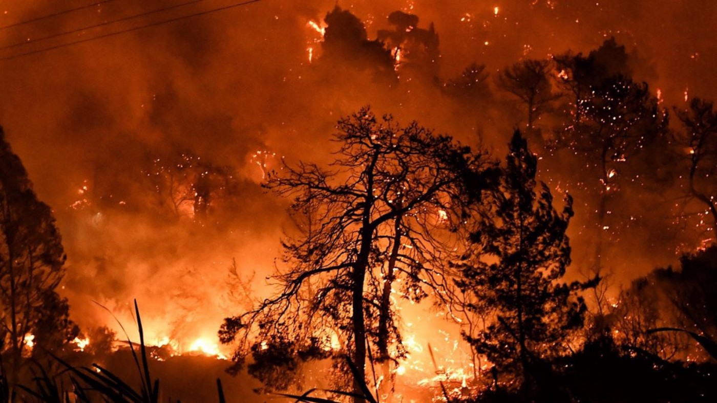 El abandono del entorno rural se revela como causa de los grandes incendios forestales