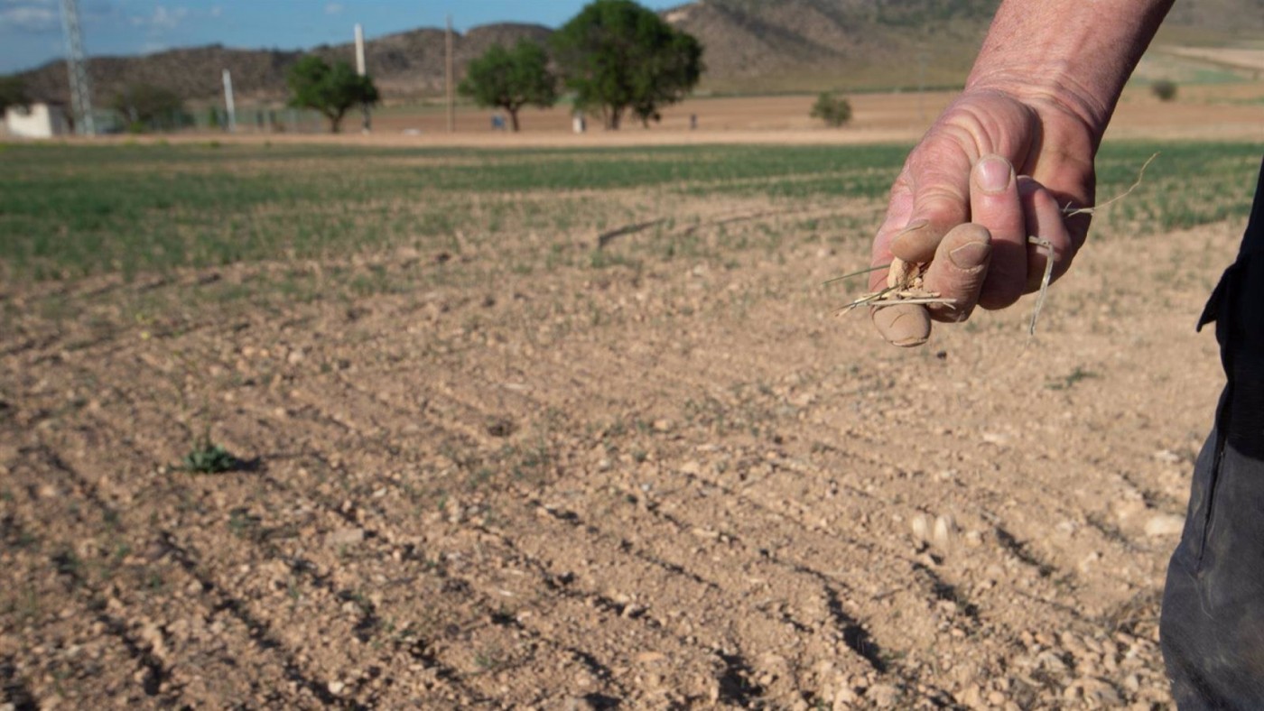 La Comunidad amplía la línea de préstamos por la sequía a los afectados por las lluvias torrenciales