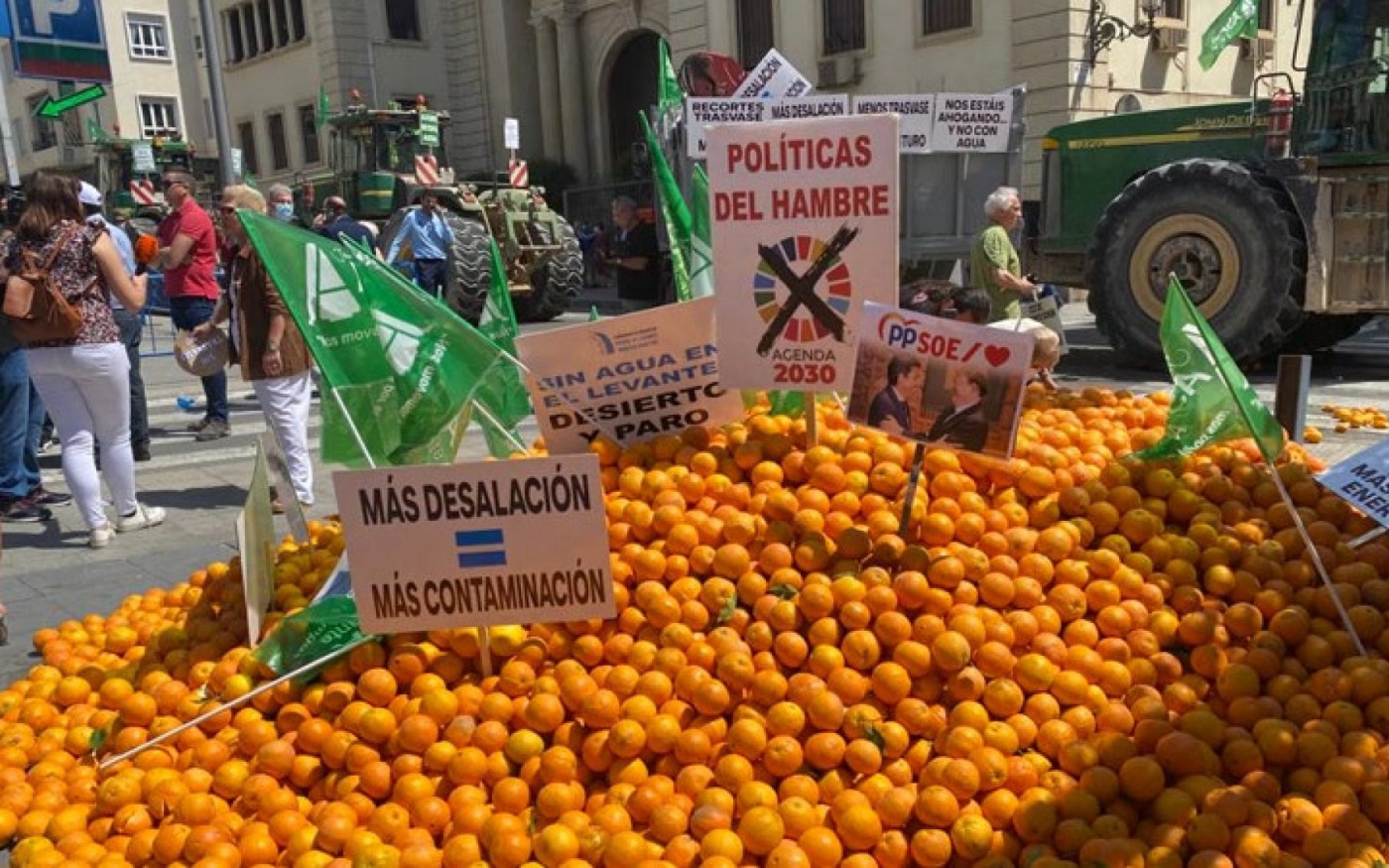 GALERÍA | Concentración de los regantes del trasvase Tajo-Segura en Alicante
