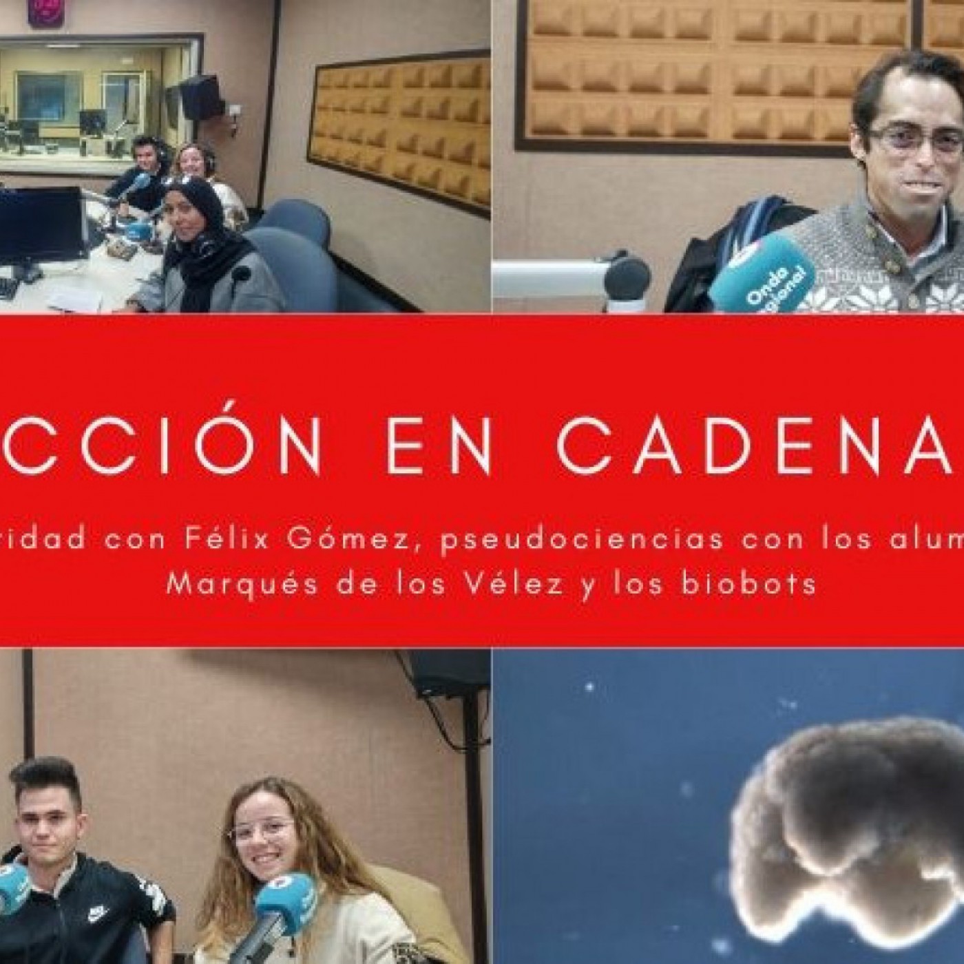REACCIÓN EN CADENA