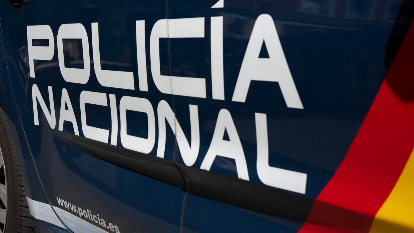 Incautan más de 1.000 plantas de marihuana en Lo Campano