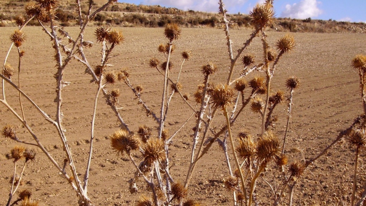 El Ministerio concede 7 millones a agricultores de la Región para paliar los efectos de la sequía