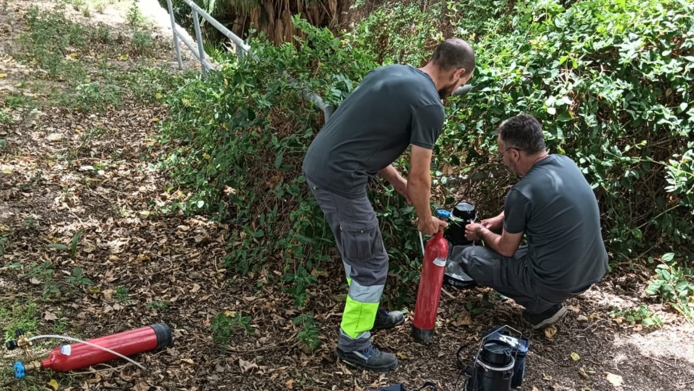 Un estudio descarta la presencia de covid-19 en garrapatas y mosquitos en la Región