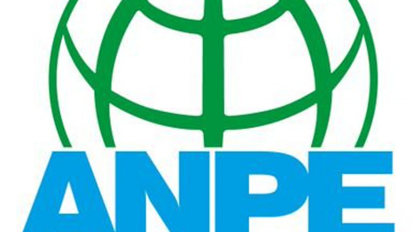 imagen del logo del sindicato ANPE