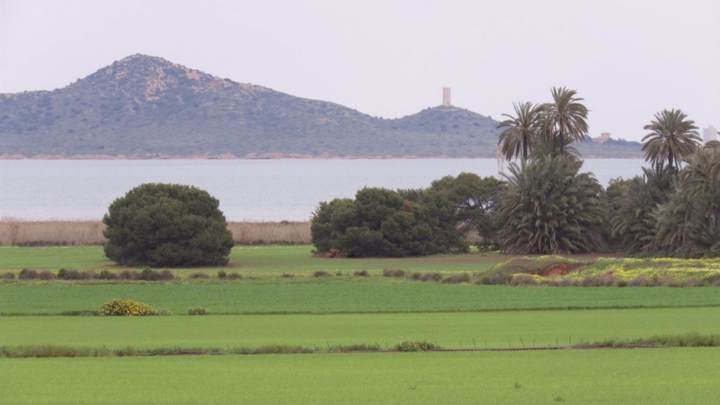 Pérez Ruzafa sobre las aguas residuales: "No son el principal problema del Mar Menor"