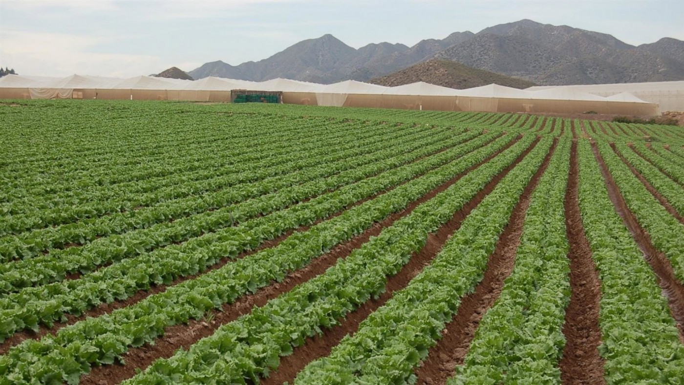 La Región de Murcia paga solo el 17 % de la PAC a los agricultores