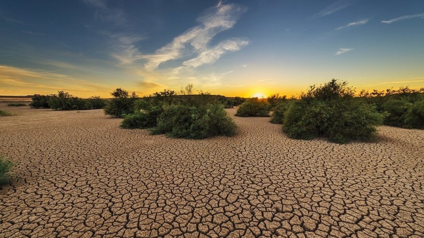 Proponen usar suelos de secano como sumideros de CO2 para evitar la desertificación