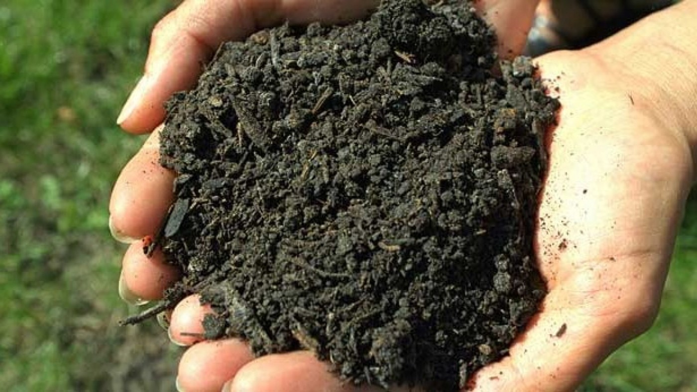 Orines humanos para fertilizar de forma sostenible