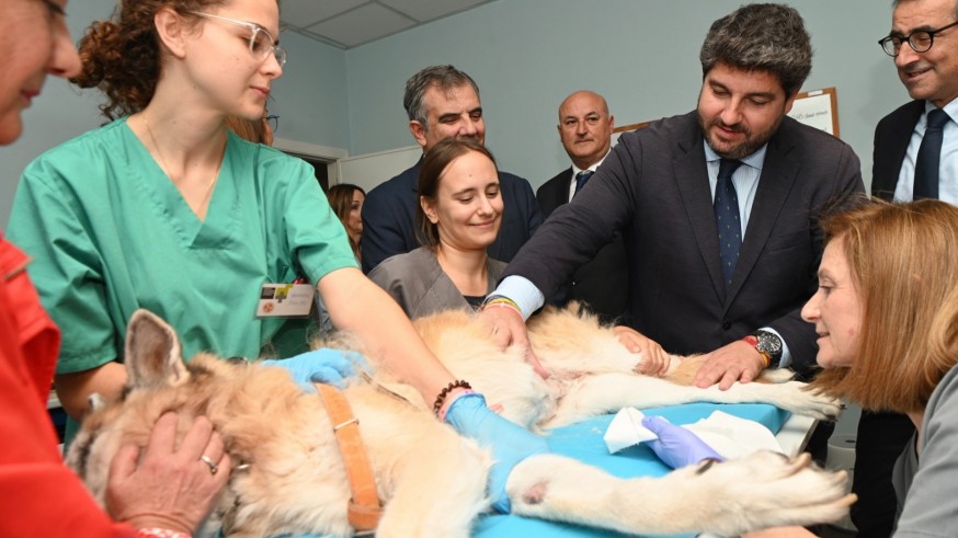 El hospital Veterinario de la UMU forma a 3.000 veterinarios en 25 años