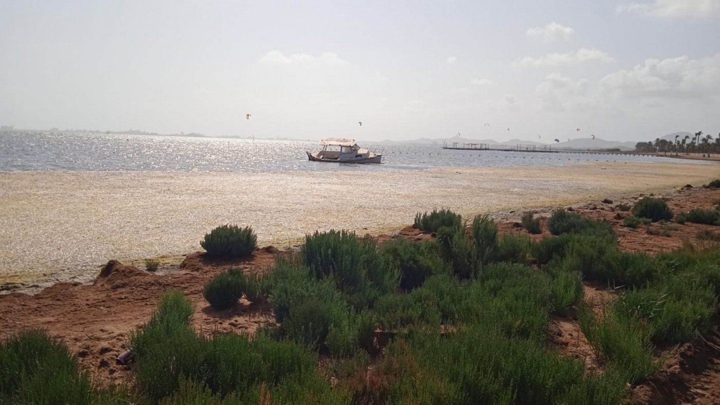 Los pescadores se quejan por la mala imagen que se está dando del Mar Menor 
