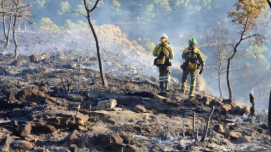 Primera alerta por altas temperaturas en la Región que incrementa el riesgo de incendios forestales