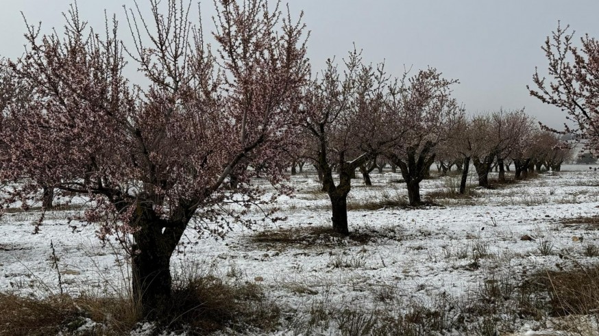 La nieve regresa al Noroeste murciano: un manto blanco de hasta cuatro centímetros cubre las zonas altas de Moratalla