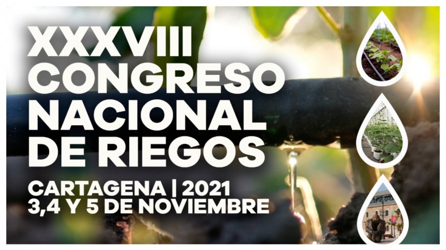 PLAZA PÚBLICA. Acueducto Tajo Segura: XXXVIII Congreso Nacional de Riegos. Cartagena 2021