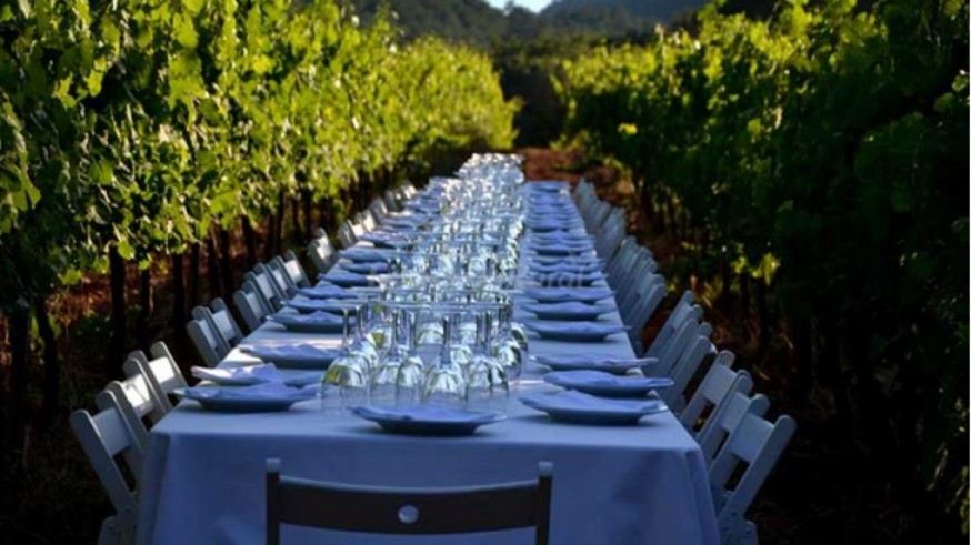 Bodega Balcona: El arte del vino artesano en el corazón del Valle del Aceniche