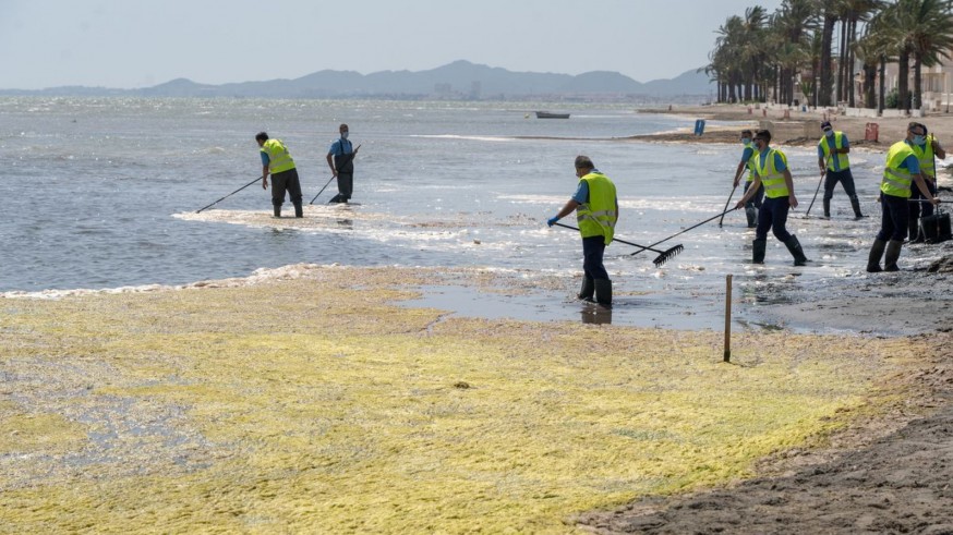 Tareas de limpieza del Mar Menor en Los Urrutias