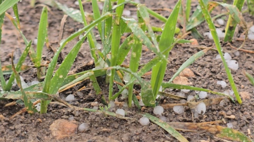 Mula y Murcia, municipios más afectados por las lluvias del domingo