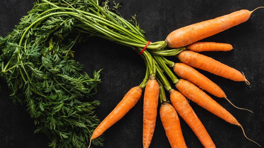 La magia de las plantas. Las zanahorias y las chirivías