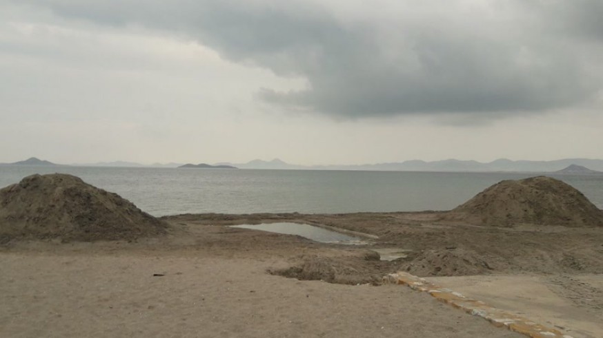 Tareas de regeneración en el Mar Menor