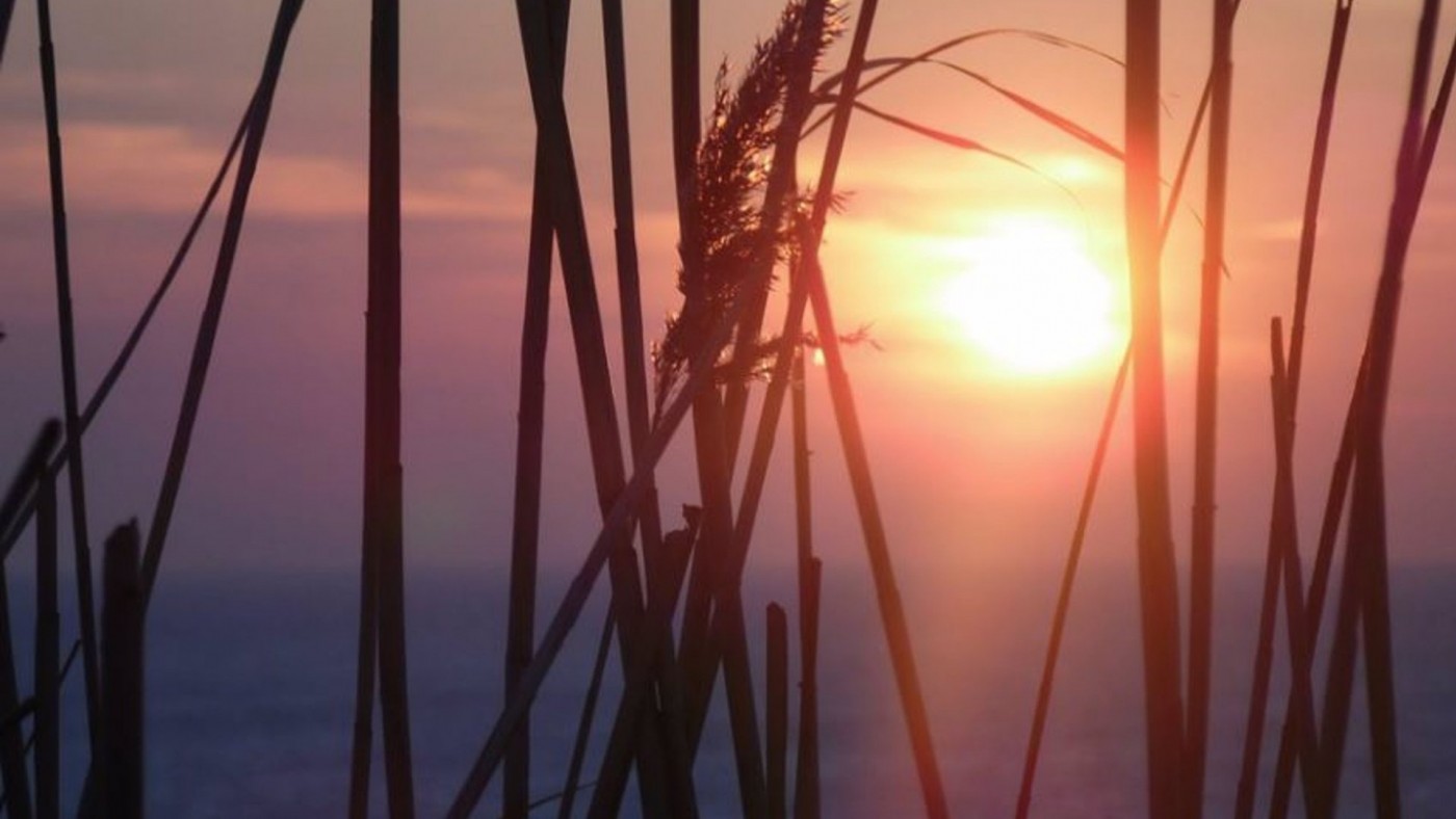 Fin de semana de altas temperaturas en la Región de Murcia
