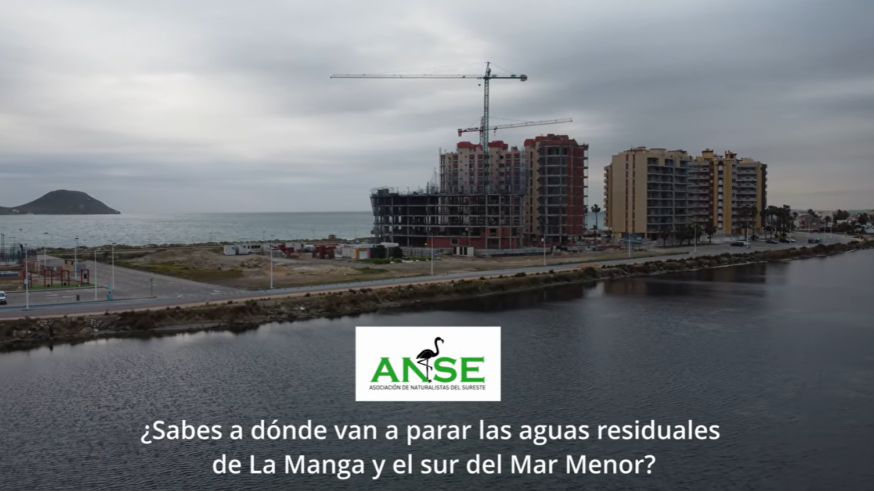 ANSE denuncia vertidos del emisario de Cala Reona al Mediterráneo y reclama una solución urgente
