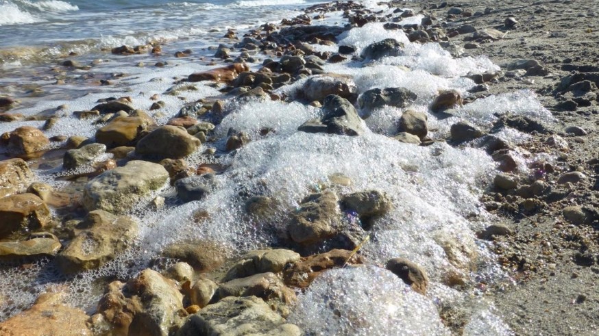 La Fundación Sierra Minera valora positivamente el proyecto de cinturón verde del Mar Menor