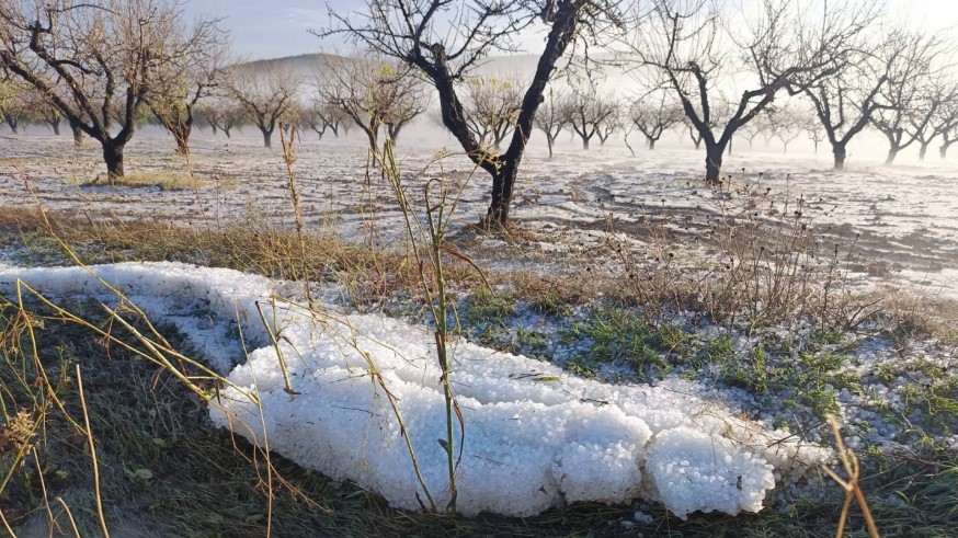Una descarga de granizo afecta a los cultivos en la Región