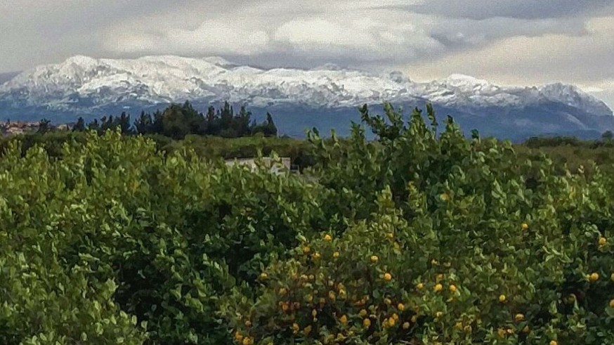 Imagen de la nieve en Sierra Espuña tomada entre Archena y Ceutí