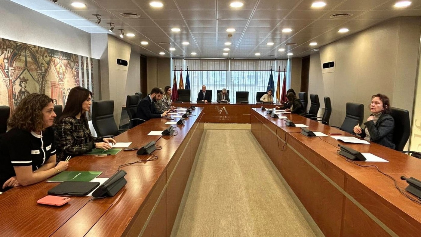 El consejero de Salud comparecerá en la comisión de investigación del SMS