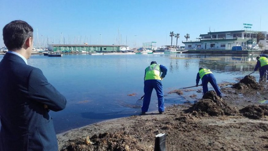 Celdrán comprueba los trabajos de la brigada de limpieza del Mar Menor